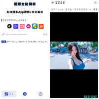 聚合解析助手v1.0 抖音 快手等短视频平台无水印下载