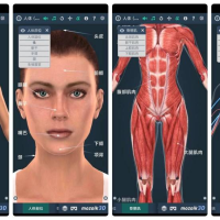 3D人体解剖模型（女性版）清晰逼真医学研究必备6.30