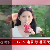 简单IPTV版v1.4.0  榴莲4K v2.0.0