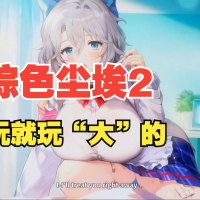 [一键安装] [安卓/PC]棕色尘埃2单机一键端/免虚拟机7.12