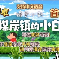 《蜡笔小新煤炭镇的小白》 安卓移植中文版