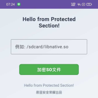 SecuSO保护工具5.21